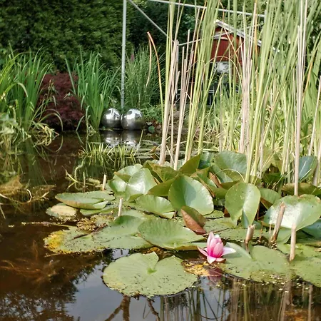 Appartement 1 Engel Und Co Bad Zwischenahn